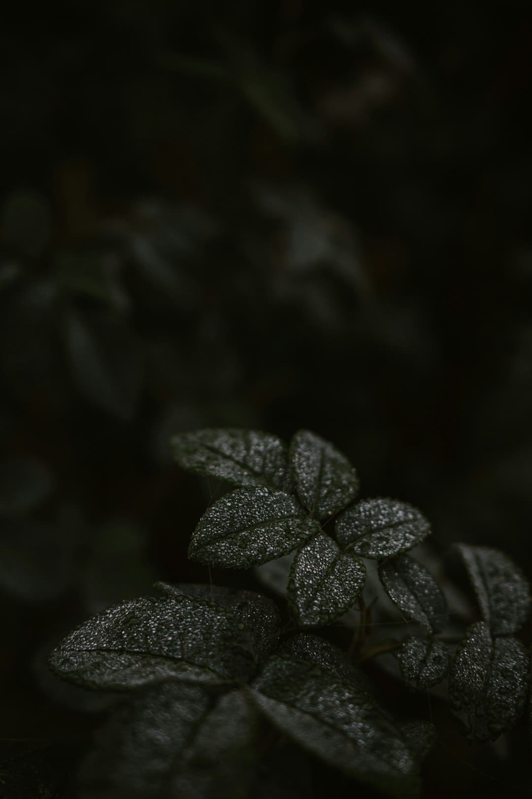 以更优标准助力产业提质——市场监管总局详解先进制造领域标准体系建设成效